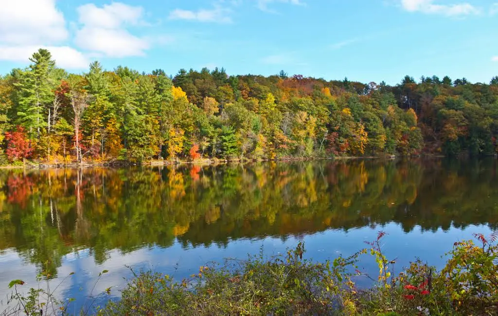 Endodontics of The Hudson Valley - Professional dental clinic exterior with modern facilities