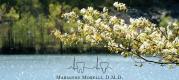 Brookfield Family Dentistry, LLC