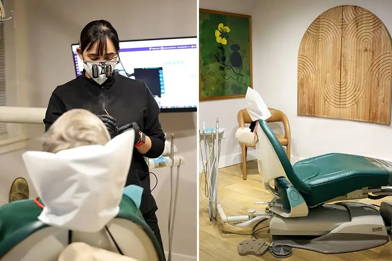 Park St. Dental - Louise Sarabia DDS