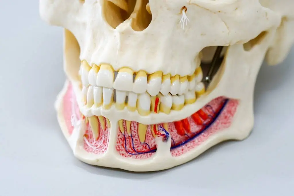 All About You Dental Group