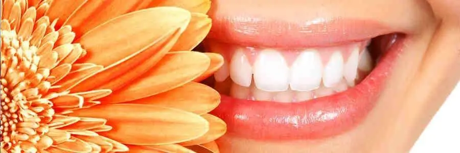 Hauppauge Family Dental Care