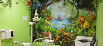 Straight Smiles Orthodontics