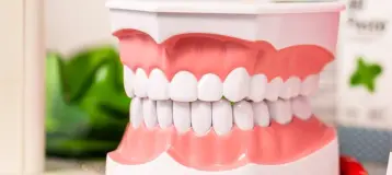 Dr. Beth Hendlin DDS