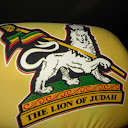 lioness D