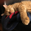 George