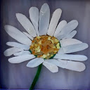 Sandi T