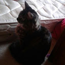 jacky