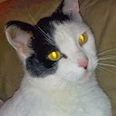 Robert