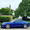angls50