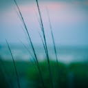 Peaceful One