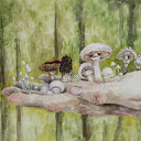 claire cadrot