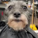 Edgar Tenemaza