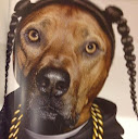 Markuz Delaghetto