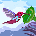 Hummingbird