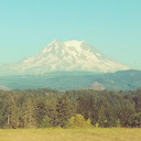 d v (PNW)