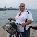 cynthia knight
