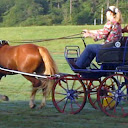 Rolf Stoylen