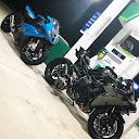Shark_S1kRR