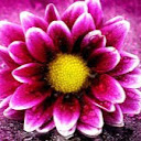 Maureen Betz