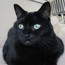 Valerie bellecats
