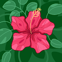 Aria H