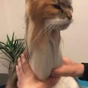 H T
