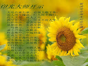 liqin Sun