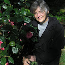 Mary Paterson