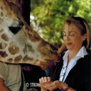 Ann Morison