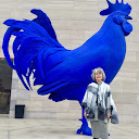 Donna Birchard