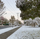 snowflake55