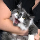 Kira