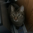 Luna K