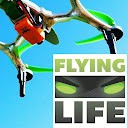 Luis Garcia (Flying Life)