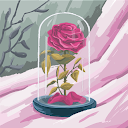 Amour G