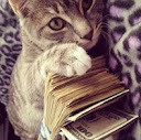 Laurel Cats Treasurer