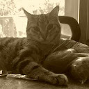 Kittie_el_fantazmo Bulsara
