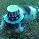 A kitty named Taco