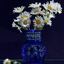 Heather Forman