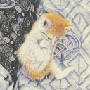Shana Pascoe