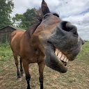 Lulu Wu