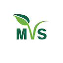 Mankato Valley Seed