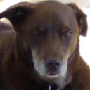Rudy C