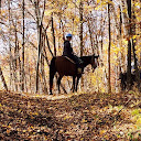 Universal Equine