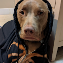 Ezra