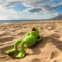 Kermit NOYB