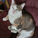 Martha Centala