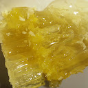 sticky wickets
