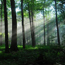 Hidden Acres Association