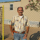 David Wilcox